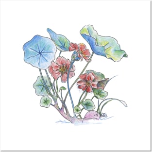 Nasturtium watercolor Posters and Art